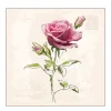 Ambiente Papierservietten Rose, Vintage rose, 33x33cm