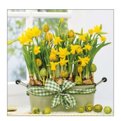 Ambiente Papierservietten, Narzissen, 33x33cm