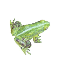 Deko Frosch, kleiner grüner Laubfrosch aus Kunststoff, 5cm