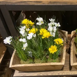 Deko Kunstblume Frühling, Löwenzahn im Moosball, gelb, 23cm