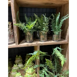 Deko Kunstpflanze Farn, Farn mit Erdballen im Glas, Farn wie echt