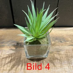 Deko Kunstpflanze Sukkulente im im Glas, Sukkulente wie echt, Sukkulente im Erdballen