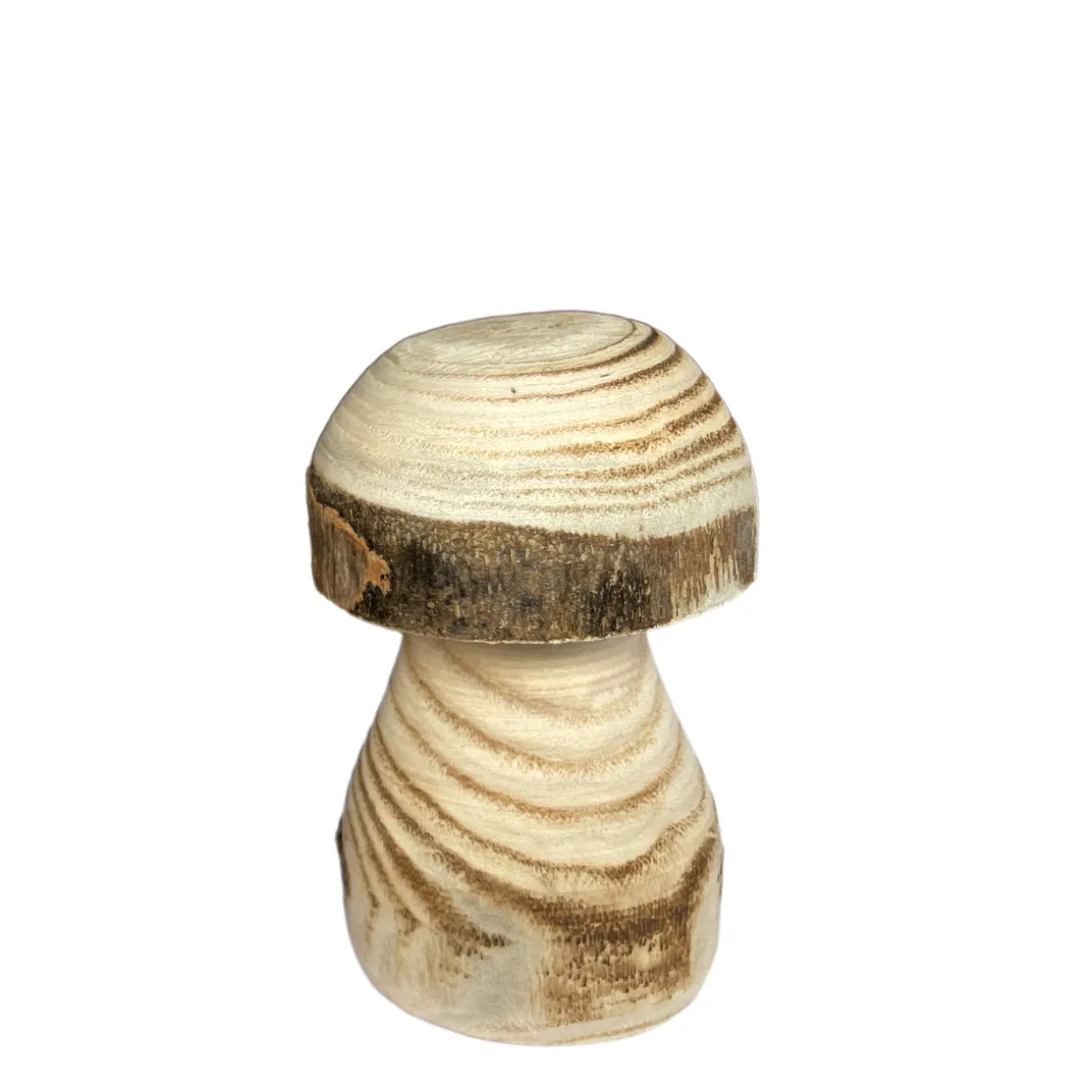 Deko Pilz Naturholz, Holzpilz Natur mit runder Kappe, 6x10cm, DIJK Natural Collections