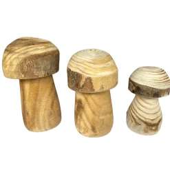 Deko Pilz Naturholz, Holzpilz Natur mit runder Kappe, 19x15cm, DIJK Natural Collections