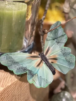 Deko Schmetterlinge mit Draht, grün, 6 St. in der Klarsichtbox