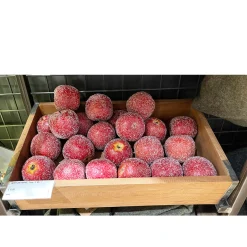 Deko Winterobst Apfel rot, Apfel gefrostet rot, Ø9cm