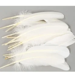 Federn Natur, champagnerweiß, 18cm, 20g/Beutel