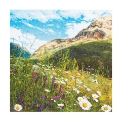 Home Fashion Papierservietten Bergwiese, Lunch 33x33cm