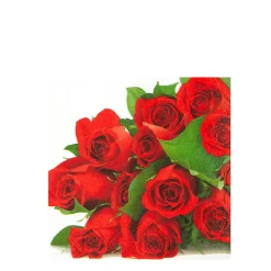 Home Fashion Papierservietten rote Rosen, 25x25cm