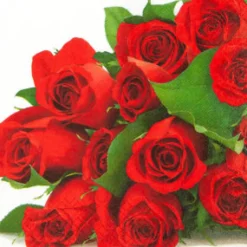 Home Fashion Papierservietten rote Rosen, 25x25cm