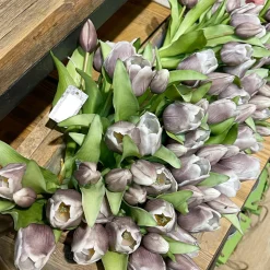 Kunstblumen Tulpen wie echt: Tulpen Vermeer schwarz, Tulpenstrauß Sally, 7St. gebündelt, 31cm