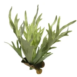 Kunstpflanze Farn, Geweihfarn grünbbraun, 47cm, Pick