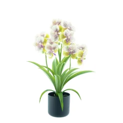 Kunstpflanze Orchidee im Topf, Phalaenopsis cream, 50cm, getopft