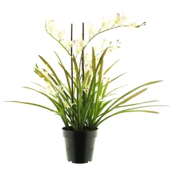Kunstpflanze Orchidee im Topf, Meadow creme, 71cm, getopft