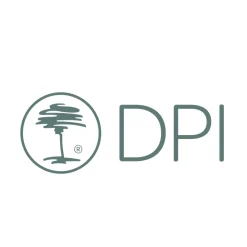 Kunstpflanze Tannenbaum, Tannenbaum mit Zapfen getopft, 60cm, DPI