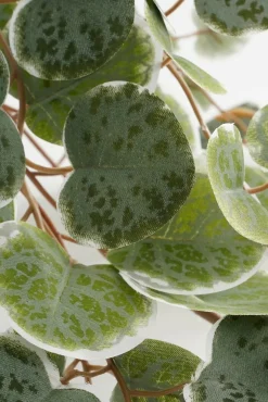 Kunstpflanze Leuchterblume Ceropegia woodii grüntöne im Topf, Hängepflanze, Mica Decorations