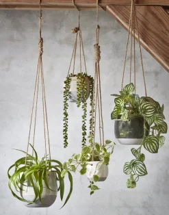 Kunstpflanze Perlenschnur, Erbsenpflanze grün, Senecio hängend, 71cm, Mica Decorations