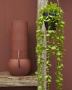 Kunstpflanze Perlenschnur, Erbsenpflanze grün, Senecio hängend, 71cm, Mica Decorations