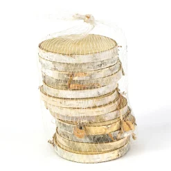 Naturholzscheibe Birke, Birkenscheiben natur, 7-8cm, 12St. im Netz