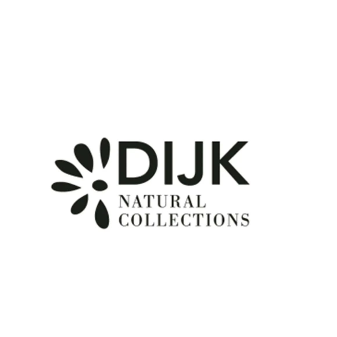 Naturpflanze Trockenblumen Reisblume, weißrosa, in der Box, DIJK Natural Collections