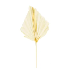 Palm Blatt Natur, 30cm, gebleicht, 4St/Pack, DIJK Natural Collections