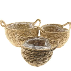 Pflanzkorb Seegras natur, Übertopf mit Henkel natur, 15cm, Naturkorb