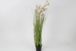 Zittergras rosa getopft 78cm